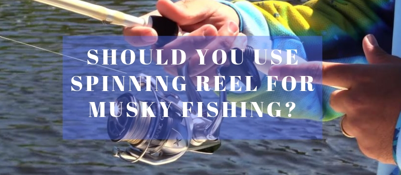 musky spinning combo