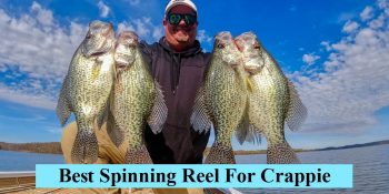 Best-Spinning-Reel-For-Crappie